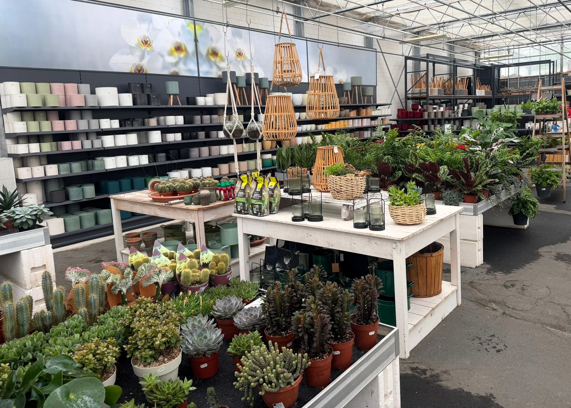 Monheimer Blumenmarkt